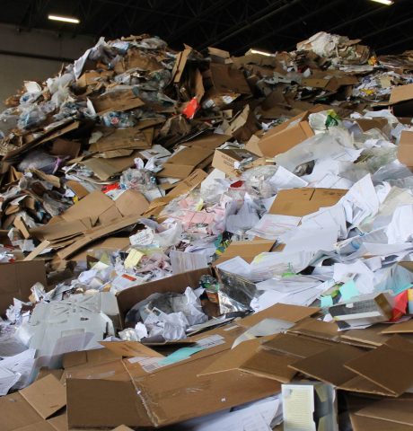 14311338_1167605439929342_7676489660995617244_o